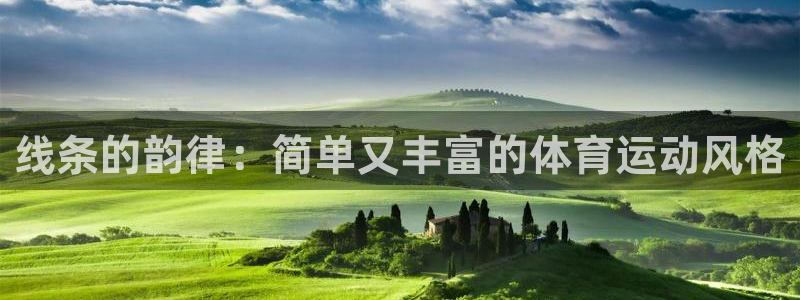 bbin视讯：线条的韵律：简单又丰富的体育运动风格