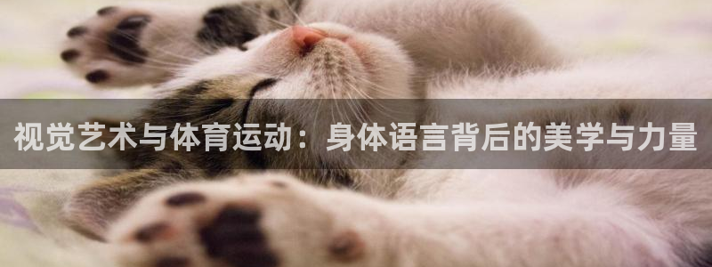 bbin视讯：视觉艺术与体育运动：身体语言背后的美学与力量