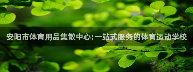 bbin视讯下：安阳市体育用品集散中心:一站式服务的体育运动学校