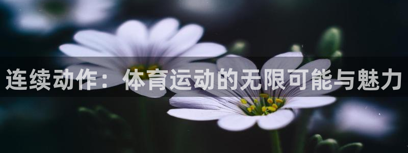 bbin视讯下：连续动作：体育运动的无限可能与魅力