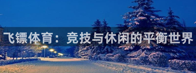 bbin视讯游戏平台：飞镖体育：竞技与休闲的平衡世界