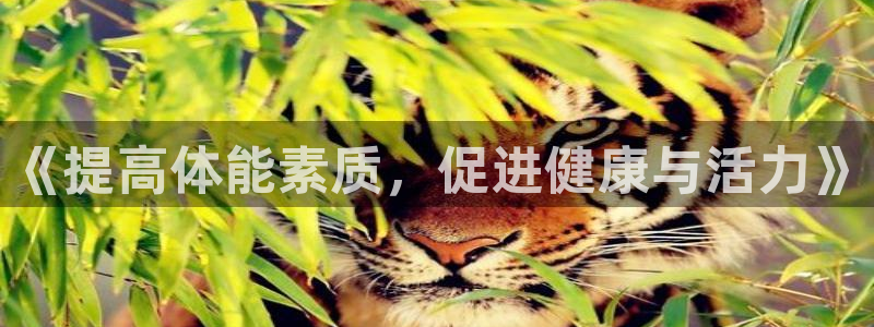 bbin视讯游戏官网：《提高体能素质，促进健康与活力》
