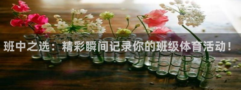 bbin视讯游戏官网：班中之选：精彩瞬间记录你的班级体育活动！