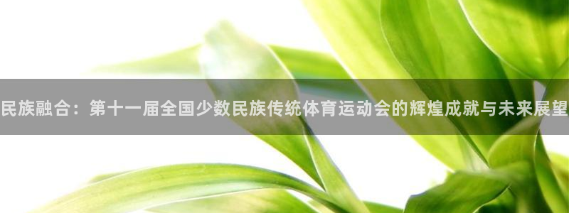bbin视讯游戏平台：民族融合：第十一届全国少数民族传统体育运动会的辉煌成就与未来展望