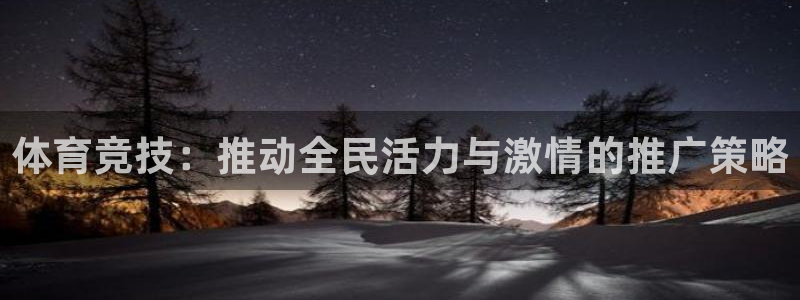 bbin视讯：体育竞技：推动全民活力与激情的推广策略