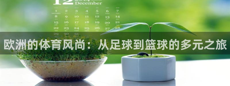 bbin视讯游戏平台：欧洲的体育风尚：从足球到篮球的多元之旅