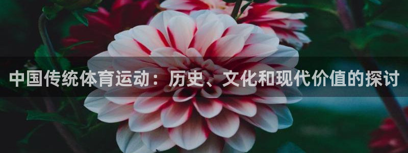 bbin视讯下：中国传统体育运动：历史、文化和现代价值的探讨