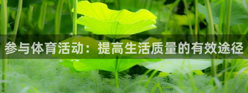 bbin视讯游戏官网：参与体育活动：提高生活质量的有效途径